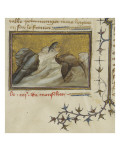 Le Livre des propriétés des choses (De proprietatibus rerum)
