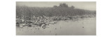 the Water-lilies ( nénuphars)