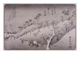 Temps de neige à Asukayama