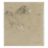 Deux aigles
