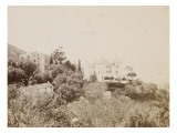 Village dans les arbres  en hauteur