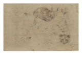 Etudes de corps et de têtesde lynx et d'une tête d'un autre animal