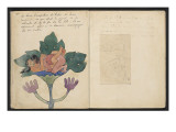 Album Ancien culte Mahori :  Un accouplement et feuille vierge avec dessin rapporté