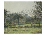 Femme dans un verger  matinée d'automne  jardin d'Eragny