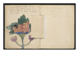 Album Ancien culte Mahori :  Un accouplement et feuille vierge avec dessin rapporté