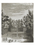 Recueil des "Plans  Profils et Elévations du Château de Versailles" : planche 46 (1) : vue du