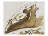 Album : cheval hennissant ; cheval cabré ; cheval allongé ; crâne de cheval