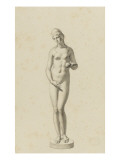 Vénus