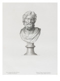 Tableau du Cabinet du Roi  statues et bustes antiques des Maisons Royales Tome II : planche 23