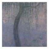 Les Nymphéas : Les Deux saules