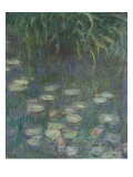 Les Nymphéas : Matin