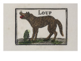 Le loup