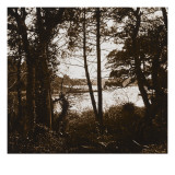Paysage boisé