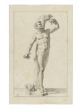 Faune