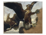 Deux aigles sur un rocher