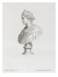 Tableau du Cabinet du Roi  statues et bustes antiques des Maisons Royales Tome II : planche 22