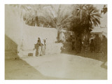 Vue d'une rue de Biskra