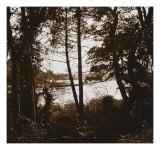 Paysage boisé