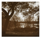 Paysage boisé