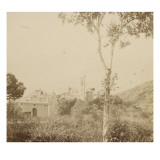 Village dans les arbres  en hauteur