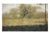 Lisière de bois au printemps
