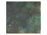Les Nymphéas : Matin