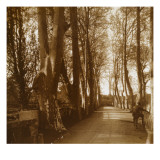 Sous bois