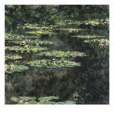 Nymphéas