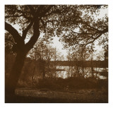 Paysage boisé