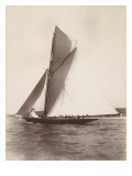 Voilier