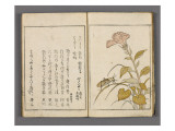 Yama no seki