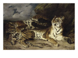Jeune tigre jouant avec sa mère