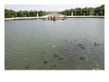 Vue du parc: bassin d'Apollon: Le char d'Apollon  1668-1670
