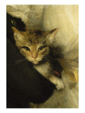 Jeune femme et petit garçon tenant un chat