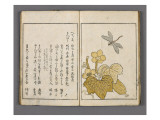 Yama no seki