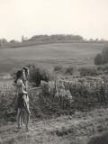 Holidays in the Countryside