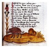 Henry De Ferrieres  "The Book of King Modus and Queen Ratio" Boar