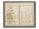 Yama no seki