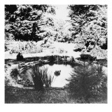 Album-boîte contenant 7 vues du château d'Arenenberg et 3 vues stéréoscopiq