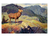 Scotland for Holidays