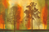 Sunset I