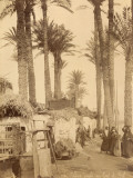 Arabic Village Along the Nile (Egypt)