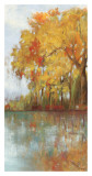 Forest Reflection I