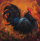 Rooster  no 501
