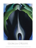 Jack in the Pulpit