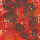 Exotic Vine