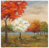 Four Seasons
