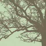 Winter Tree III