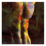 Torso
