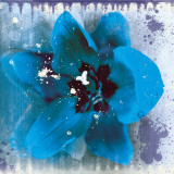 Tulip Fresco (blue)